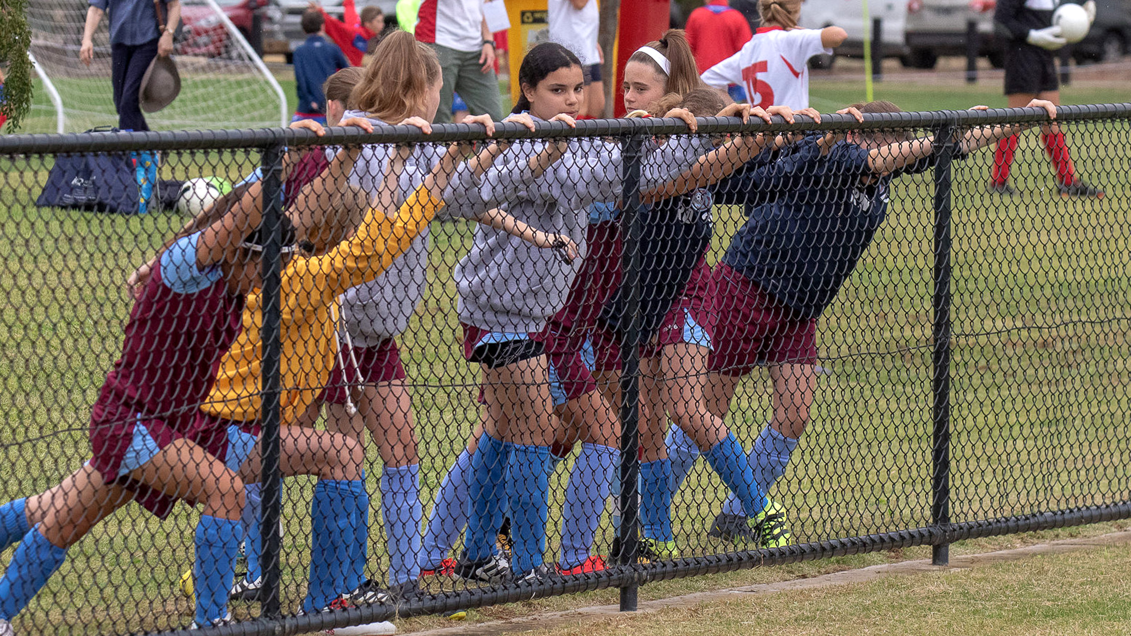 Sporting Club Grants Program reopens with COVID19 recovery category