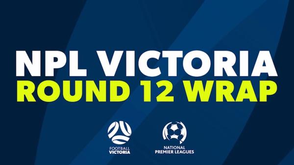NPL Victoria Round 12 Wrap
