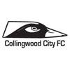 Collingwood Junior Eagles So ccer club logo