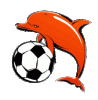 Hampton Dolphins FC logo