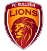 bulleen lions logo